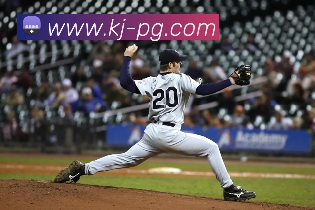 企业概况
